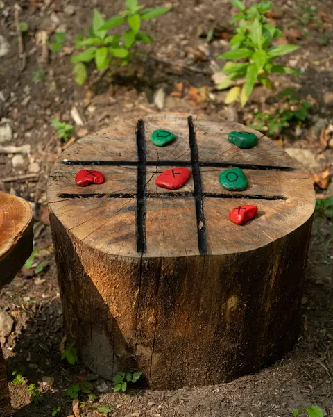 Deca u igri na imanju — fotografija 10